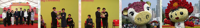 2008 HKFS