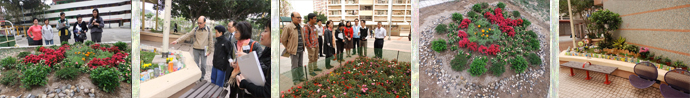 2011_0311 IHHK in Flower Bed Competition Judging