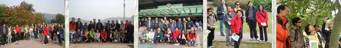 2011_1217 迪欣湖賞樹行