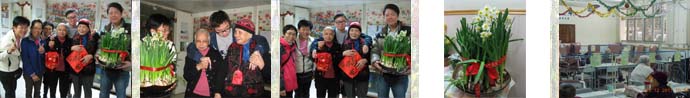 2012_0121 大埔水仙送暖